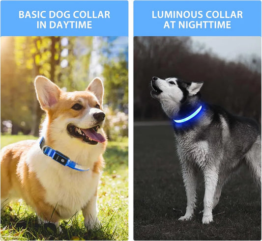 North Hound Co. Premium LED Safety Collar