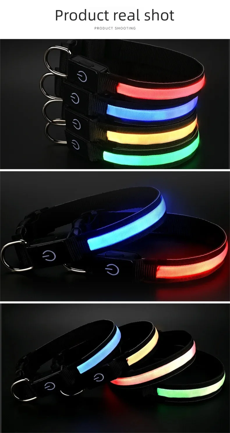 North Hound Co. Premium LED Safety Collar