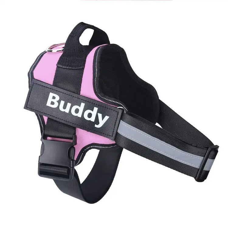 North Hound Co. Premium No-Pull Personalized Adventure Harness