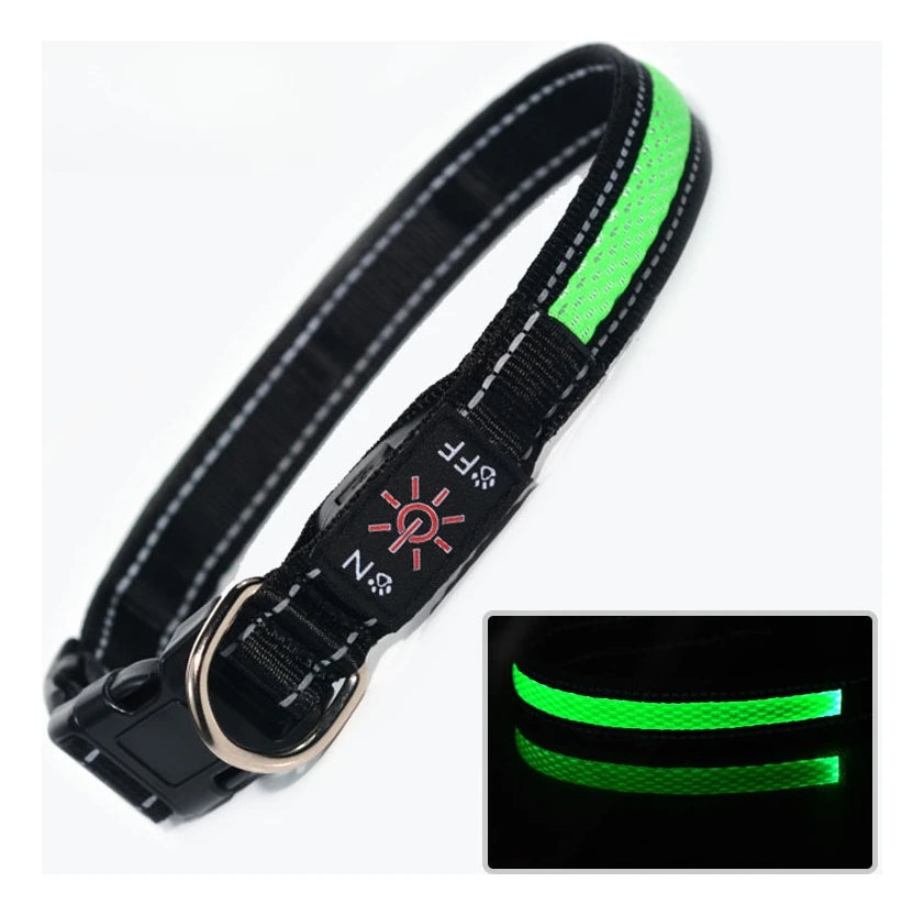 North Hound Co. Premium LED Safety Collar