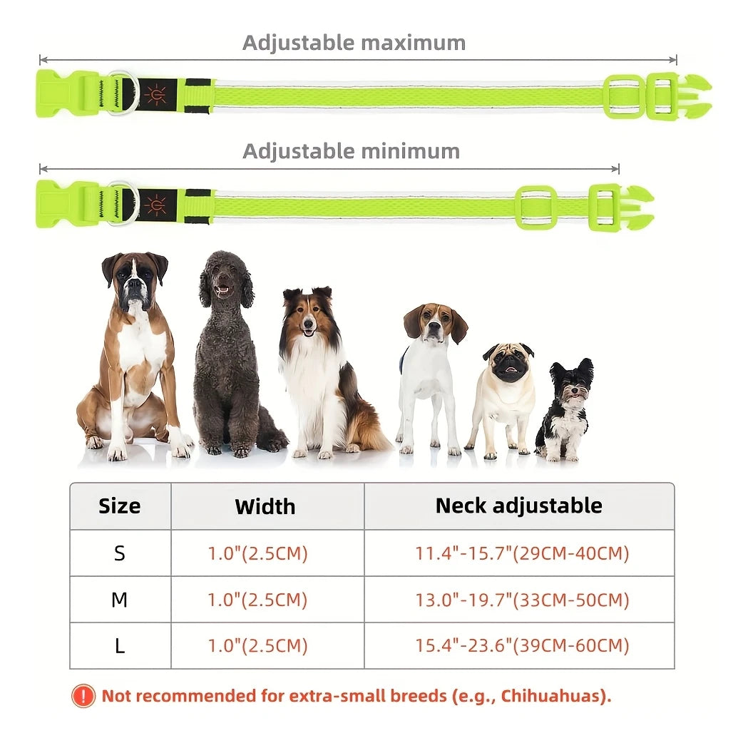 North Hound Co. Premium LED Safety Collar
