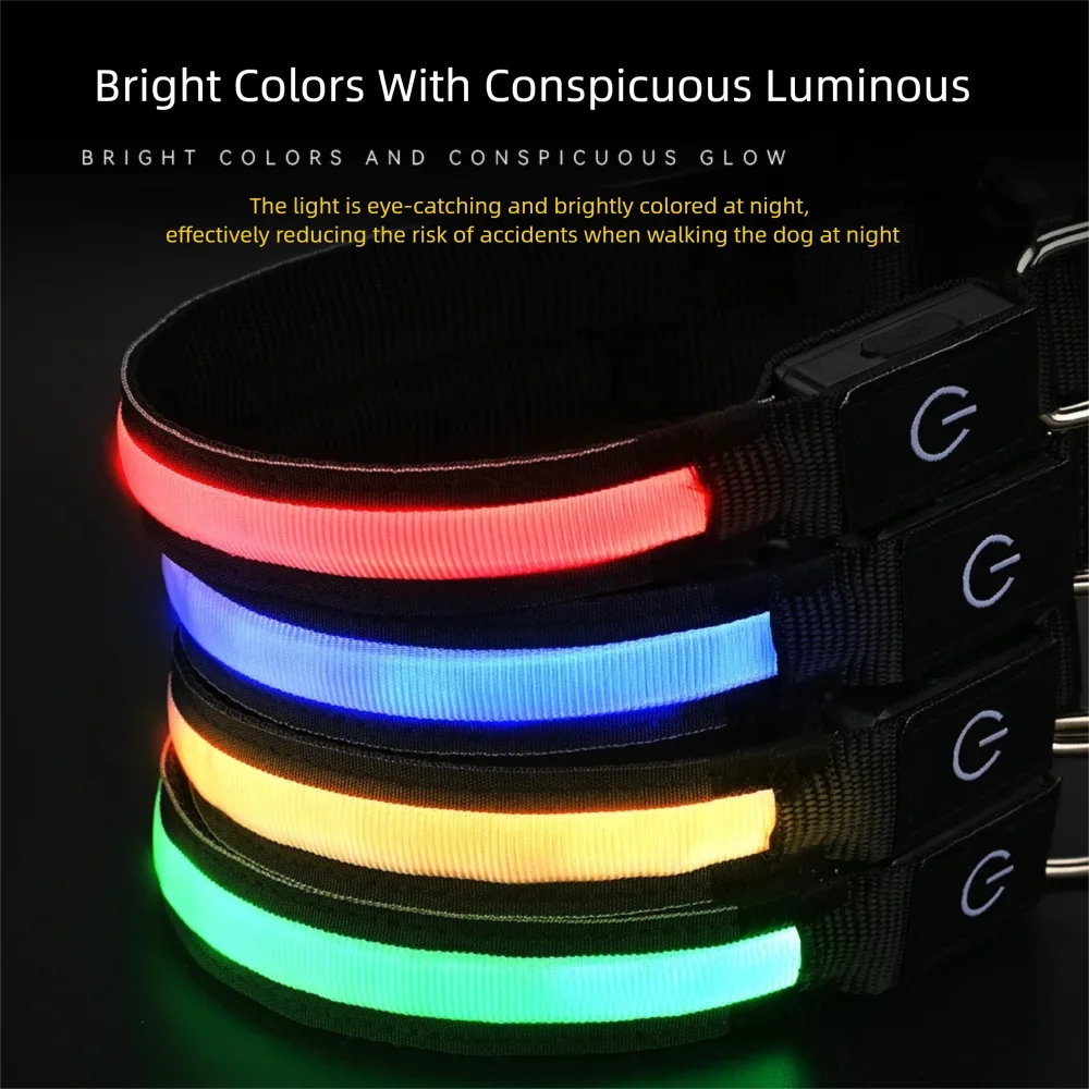 North Hound Co. Premium LED Safety Collar