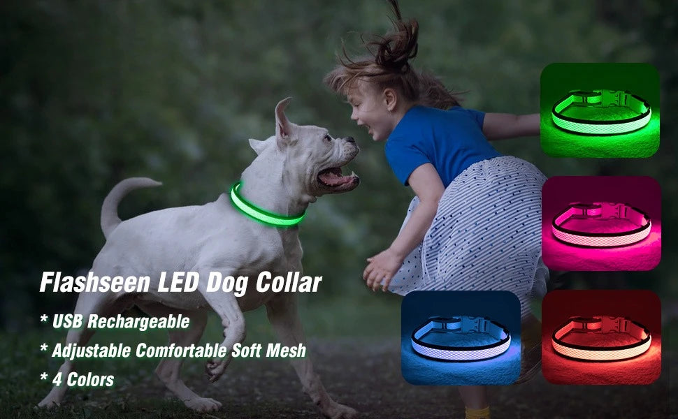 North Hound Co. Premium LED Safety Collar