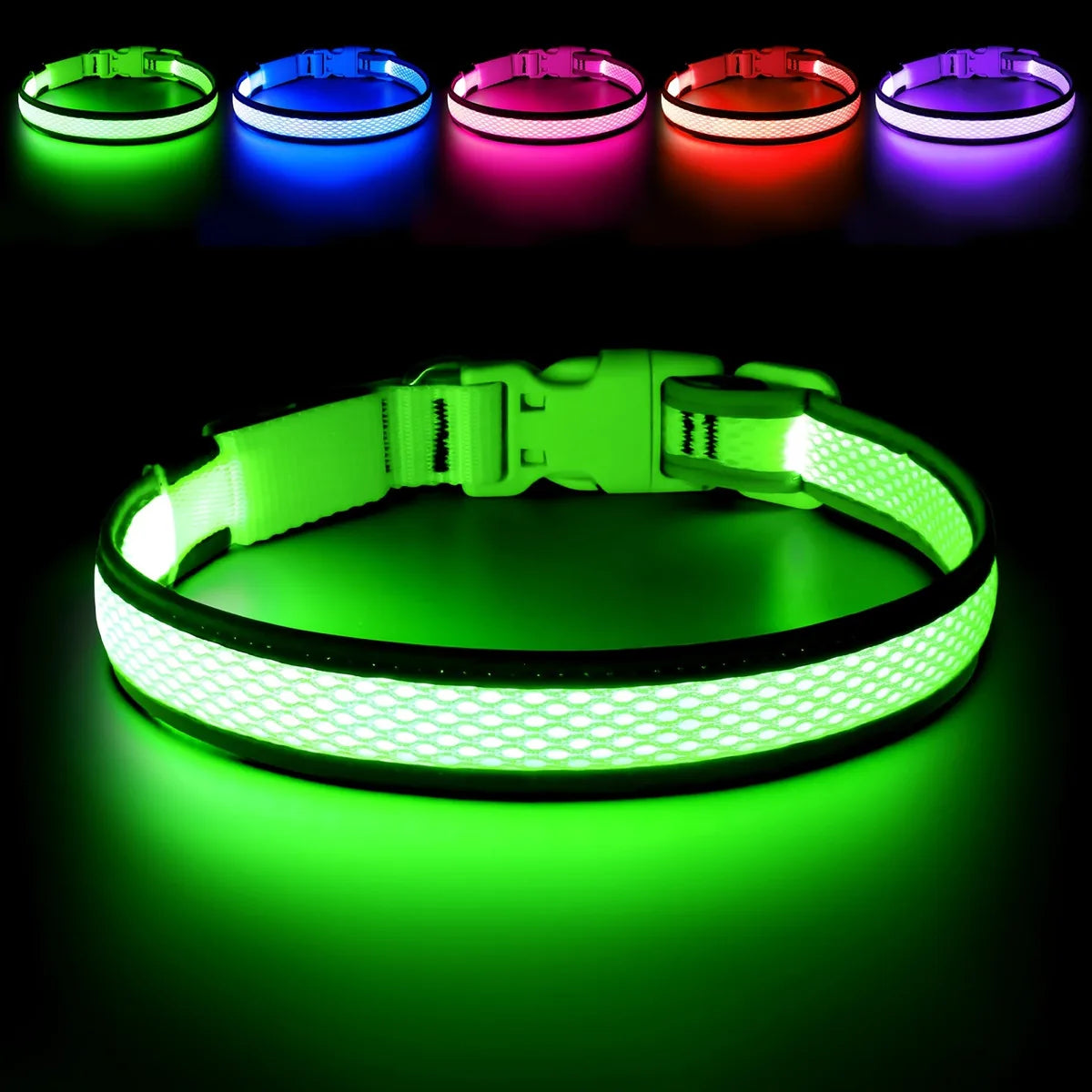 North Hound Co. Premium LED Safety Collar