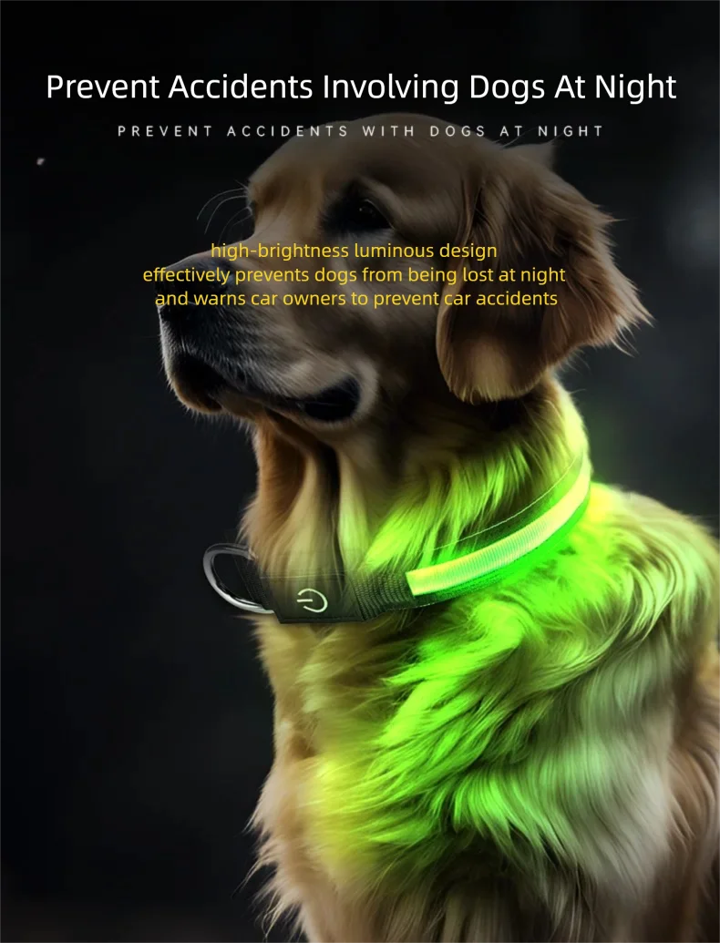 North Hound Co. Premium LED Safety Collar