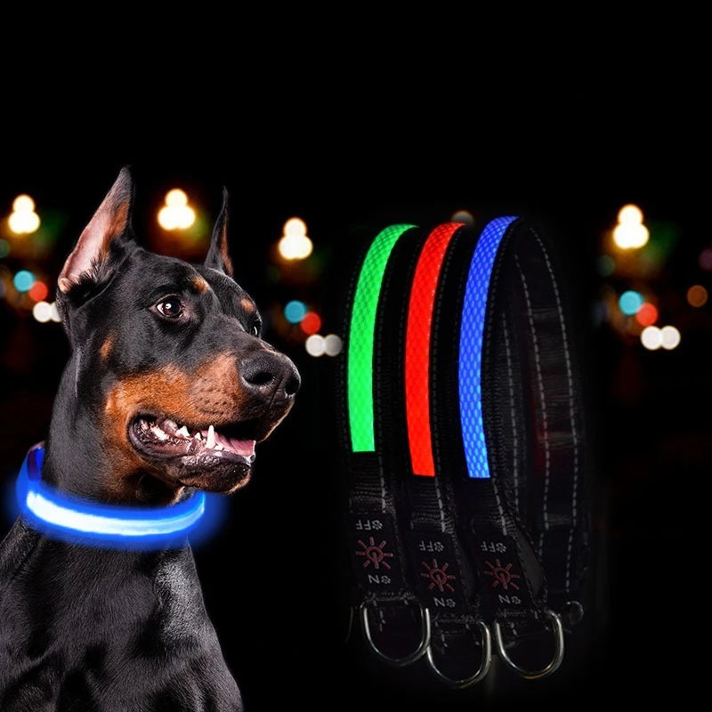 North Hound Co. Premium LED Safety Collar