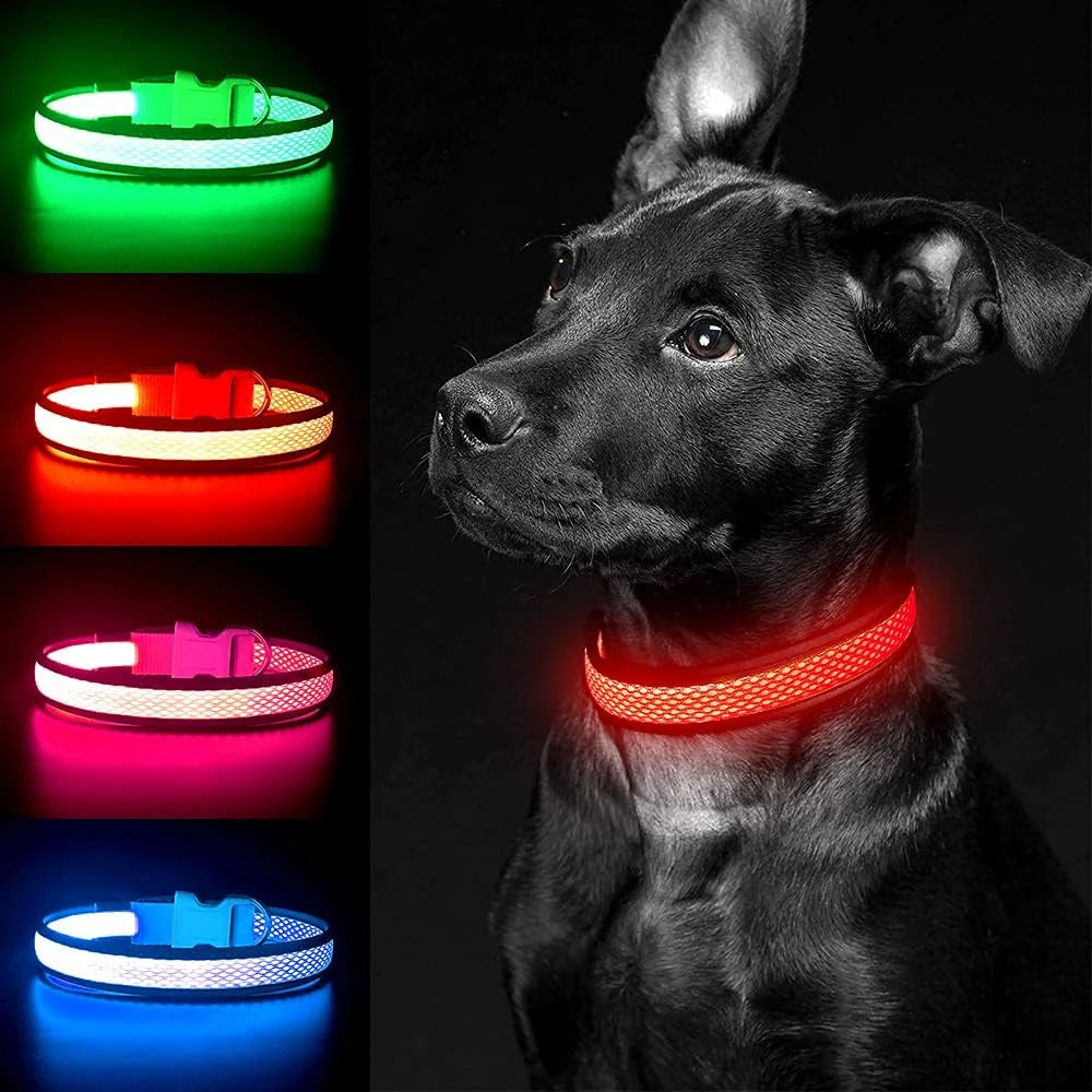 North Hound Co. Premium LED Safety Collar
