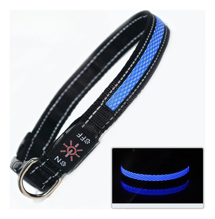 North Hound Co. Premium LED Safety Collar